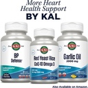 kal-turmeric-resveratrol-supplement-anti-6.jpg