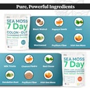 atlantic-naturals-sea-moss-7-day-full-bo-2.jpg