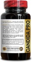 candida-support-complex---reishi-mushroo-2.jpg