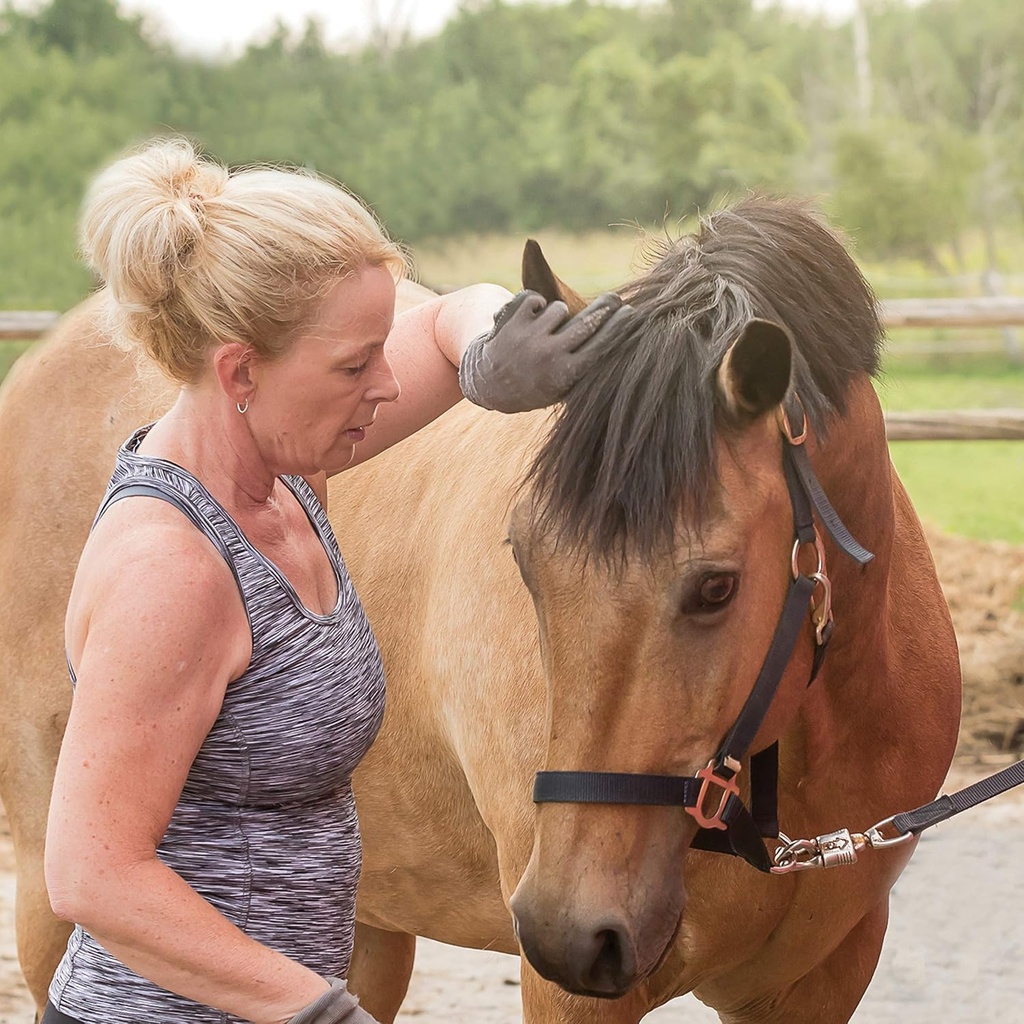 pure-lab-vitamins-equine-magnesium-glyci-3.jpg