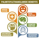 1500-mg-palmitoylethanolamide-with-luteo-4.jpg