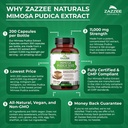 zazzee-mimosa-pudica-seed-101-extract-20-6.jpg