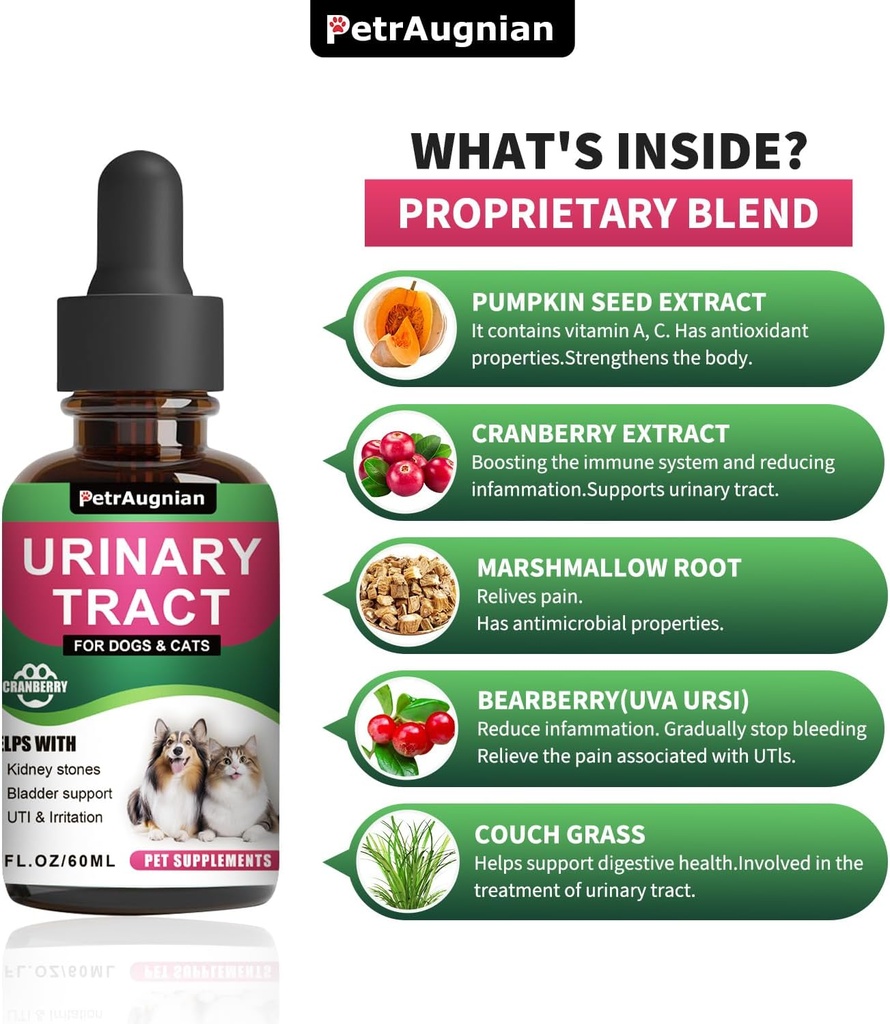 cat-dog-urinary-tract-infection-treatmen-5.jpg