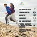 stone-free-herbal-supplement---natural-k-5.jpg