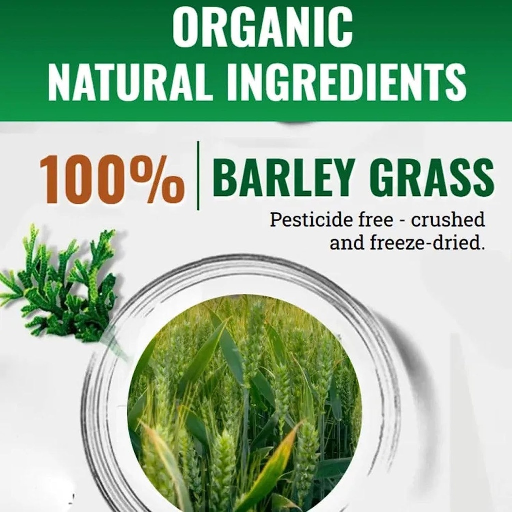 naveta-barley-grass-powder-100-pure-orga-2.jpg