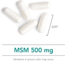 nutricology-msm-supplement---joint-suppo-4.jpg