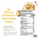 turmeric-gingerade-ginger-soother-by-the-2.jpg