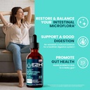 e2h-advanced-intestinal-support---suppor-2.jpg