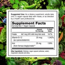 plantfusion-vegan-iron-vitamin-c-bundle--3.jpg