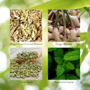 natures-sunshine-gall-bladder-formula-10-5.jpg