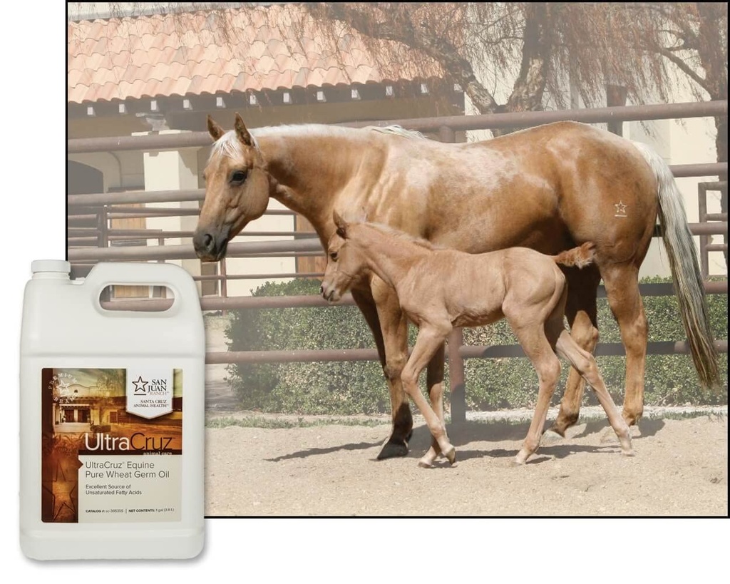ultracruz-equine-pure-wheat-germ-oil-4-x-4.jpg