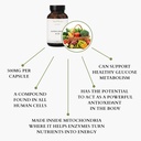 alpha-lipoic-acid---non-gmo---500mg-120--4.jpg
