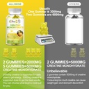 sugar-free-creatine-monohydrate-for-men--4.jpg