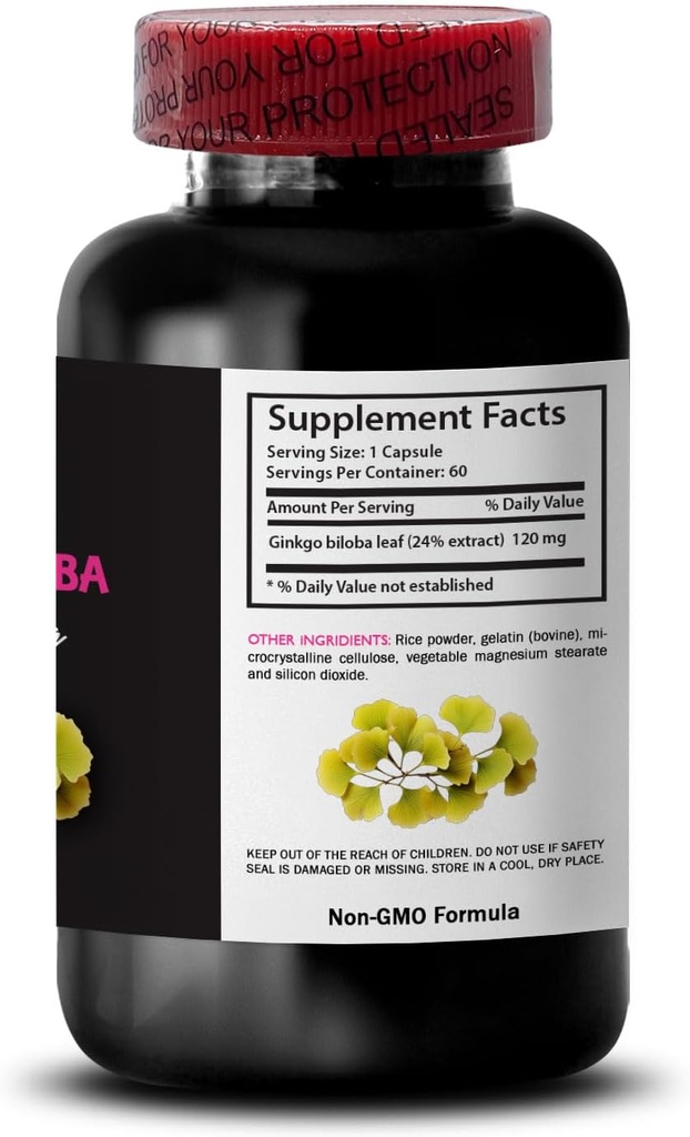 herbal-extract-powder---ginkgo-biloba-ex-4.jpg