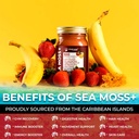 irish-sea-moss-gel-raw---wildcrafted-sup-4.jpg