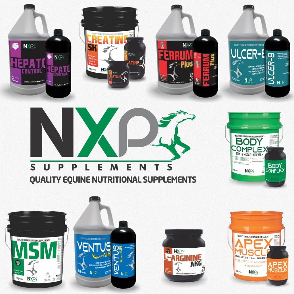 apex-muscle-body-strength-builder-for-ho-5.jpg