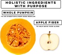 natures-diet-pet-dried-pumpkin-powder-di-2.jpg