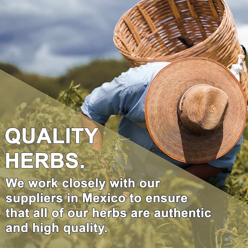 evergreen-herbs-cuachalalate-herb-amphip-4.jpg