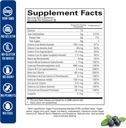 wellvites-sugar-free-multivitamin-gummie-4.jpg