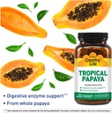 country-life---natural-tropical-papaya-e-3.jpg