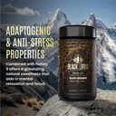 black-lotus-pure-shilajit-resin-raw-hone-5.jpg