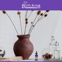 birth-song-botanicals-organic-cesarean-r-4.jpg