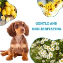 dog-cat-eye-wipes---240ct-wet-pad-gentle-2.jpg