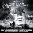 kiki-green-shilajit-capsules---himalayan-4.jpg
