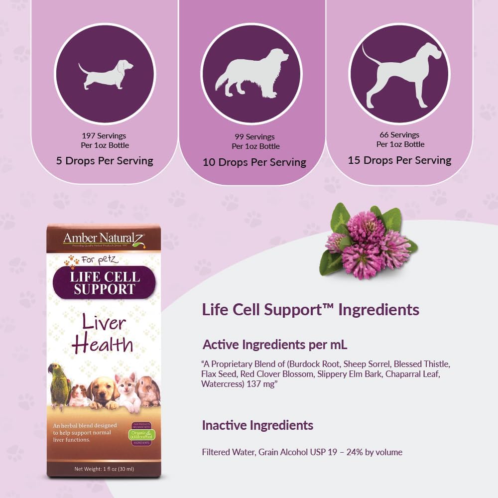 amber-naturalz-life-cell-support-herbal--4.jpg