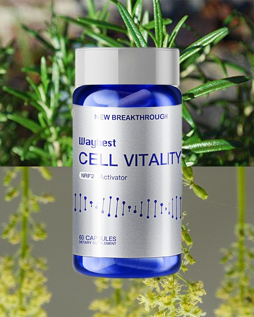 oxidative-stress-relief-formula-by-waybe-2.jpg