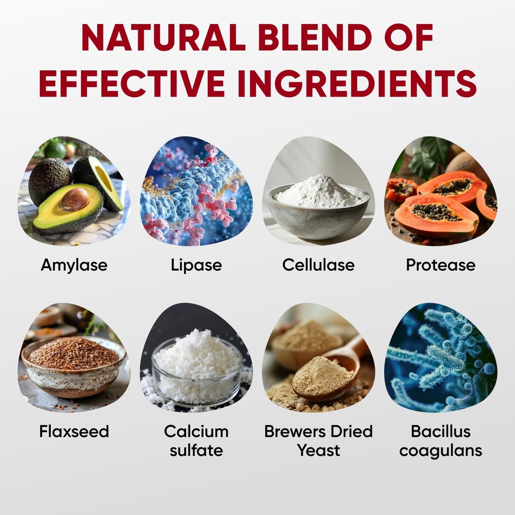 probiotics-soft-chews---enzymes---digest-4.jpg