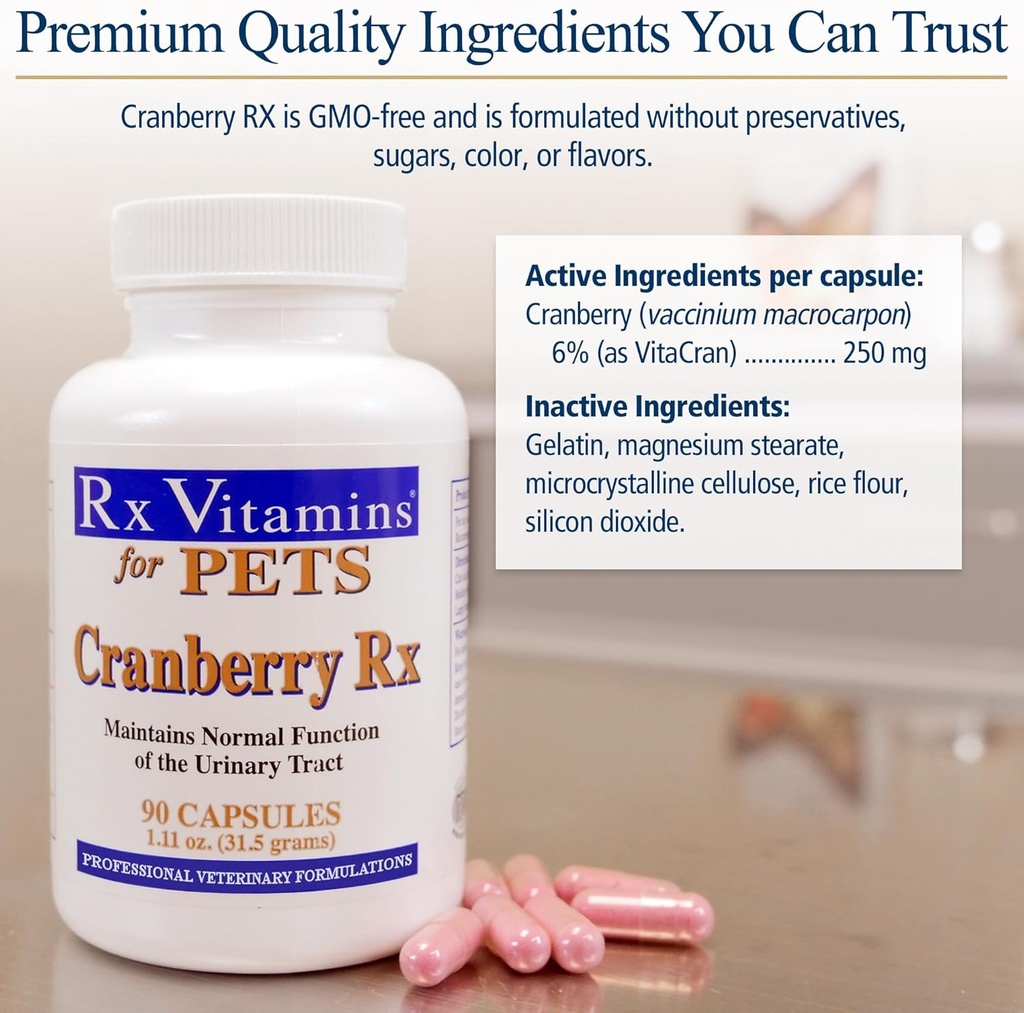 rx-vitamins-cranberry-pills-for-dogs---c-6.jpg