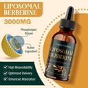 liposomal-berberine-drops-supplement-300-4.jpg