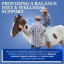 equerrys-glucosamine-pellets---joint-sup-4.jpg