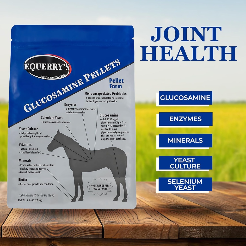 equerrys-glucosamine-pellets---joint-sup-5.jpg