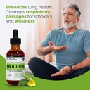 mullein-leaf-liquid-extract-2-fl-oz-pack-3.jpg
