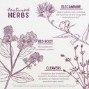 wishgarden-herbs-respiratory-strength-da-4.jpg