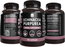pure-original-ingredients-echinacea-purp-4.jpg