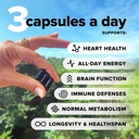 complement-gut-nurture-essential-multivi-5.jpg