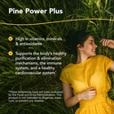 north-american-herb-spice-pine-power-plu-2.jpg