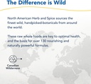 north-american-herb-spice-pine-power-plu-6.jpg