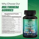 the-bundle-of-shilajit-and-sea-moss-sea--4.jpg