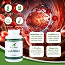 md-vascular---expert-formulated-suppleme-5.jpg