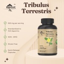tribulus-terrestris-supplement-for-men-w-5.jpg