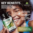 herbalicious-mullein-leaf-extract-verbas-3.jpg