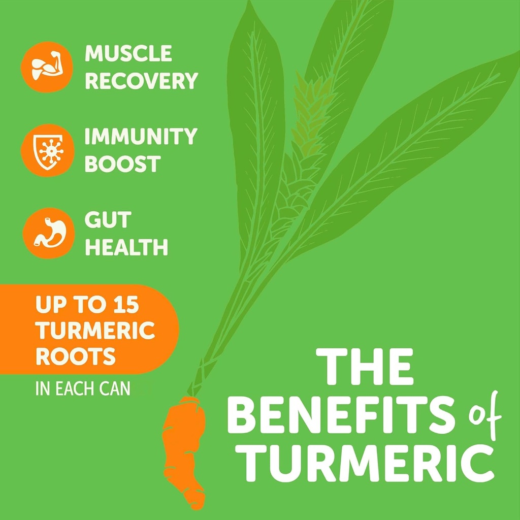 zyn-turmeric-wellness-drink-24-pack-mang-3.jpg