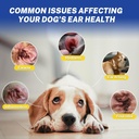 ear-powder-for-dogs-pluckingdog-ear-infe-6.jpg