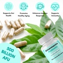 akkermansia-muciniphilia-probiotic-500-b-5.jpg