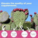 nopal-cactus-monolaurin-bundle-240-capsu-3.jpg