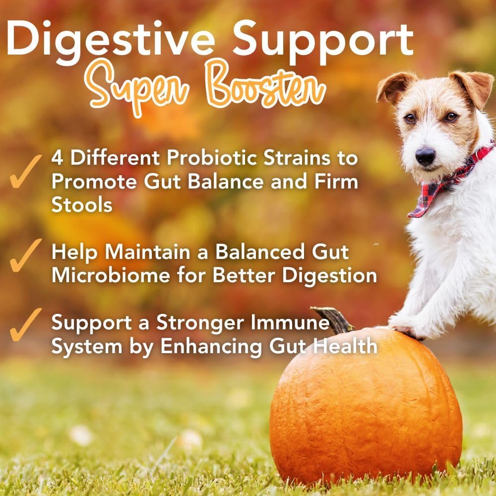 iheartdogs-pupkin-probiotics-prebiotics--3.jpg
